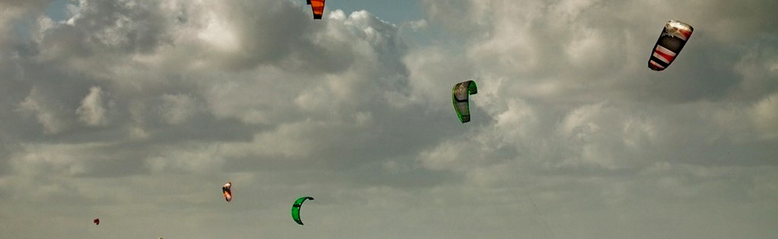 kites