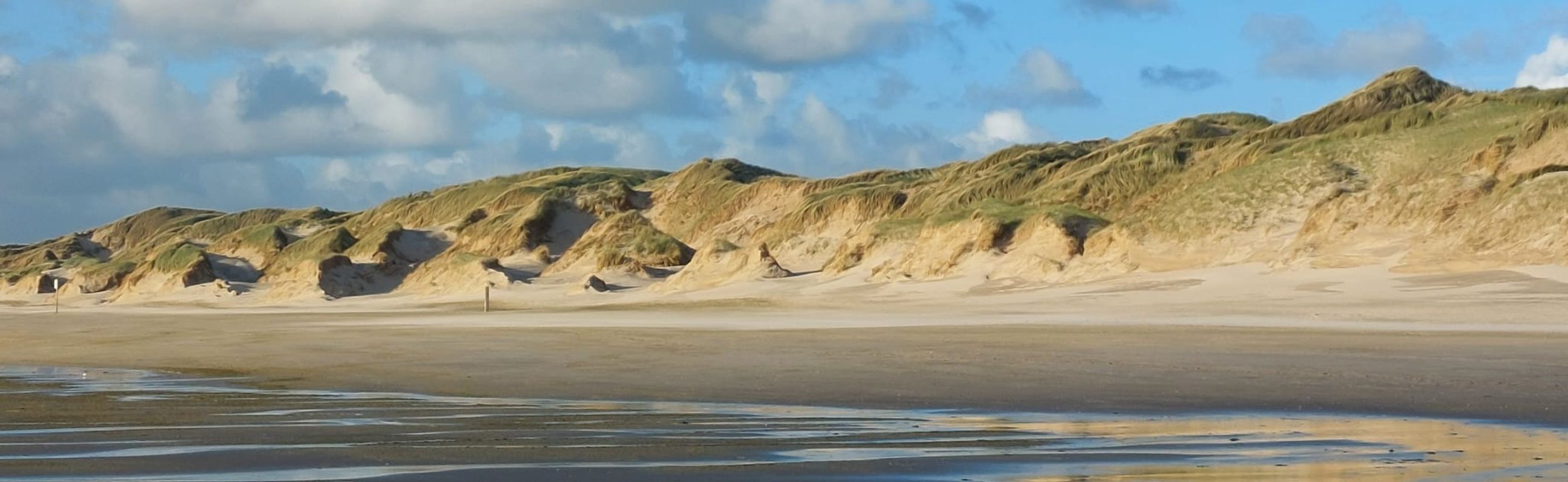 Strand Duinen
