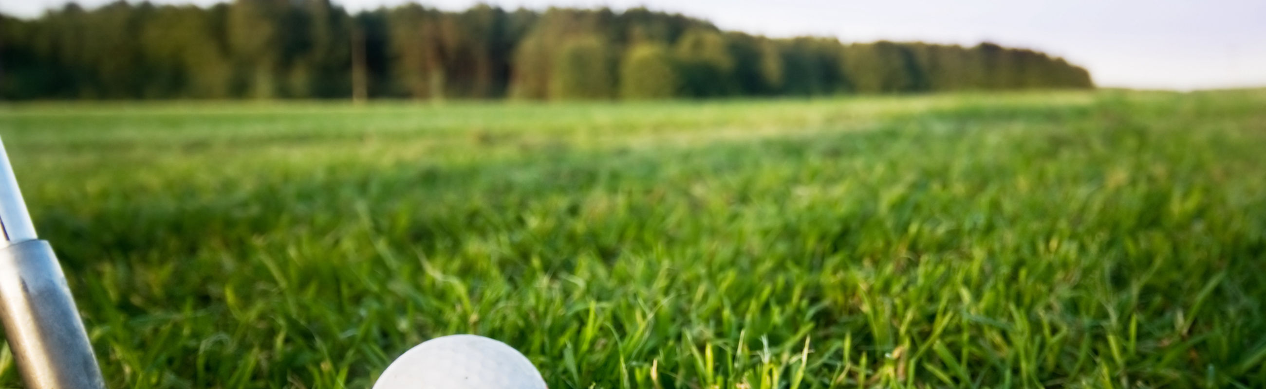 Golf gras