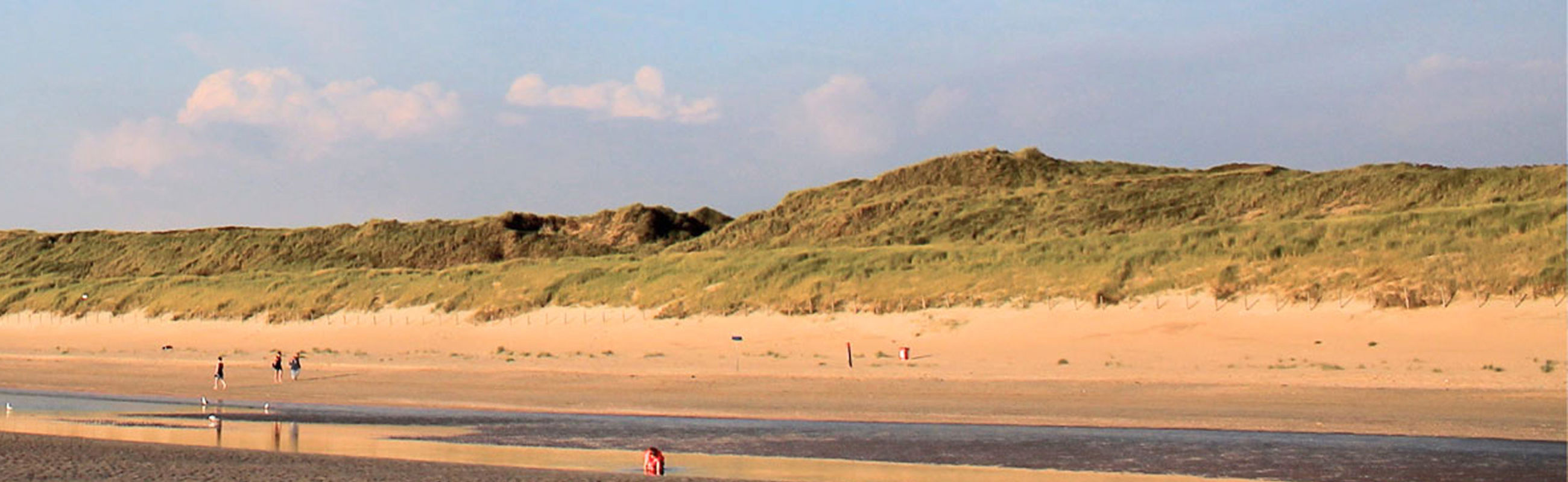 Strand duinen
