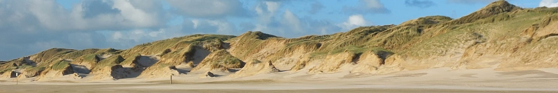 Duinen