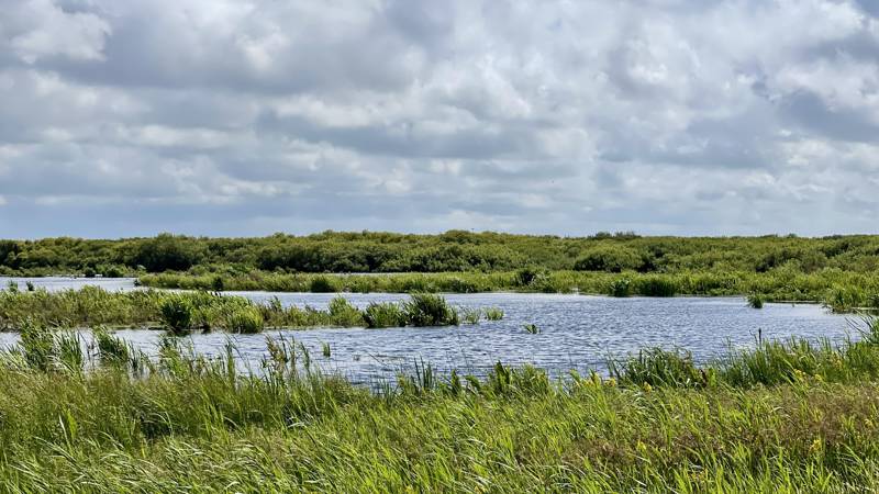 Eerste_Water_Zwanenwater