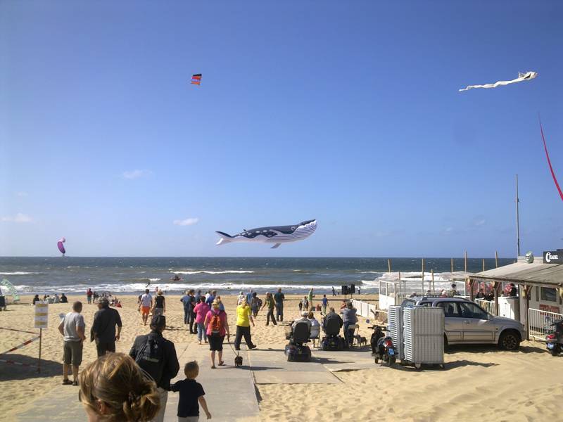 Zwemmen Callantsoog Strandvakantie