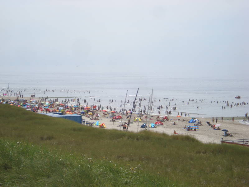 Zwemmen Callantsoog Strandvakantie