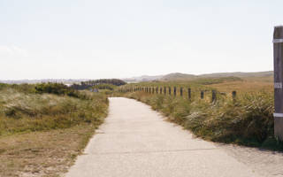Duinen