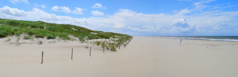 Duinen