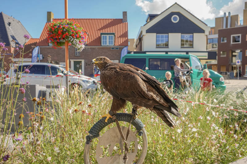 Braderie Callantsoog