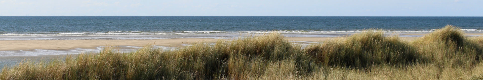 Header duinenzichtopzee